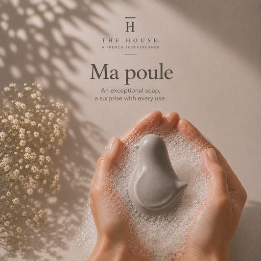 Ma poule — Vibrant & Warm